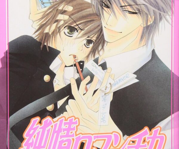 [Comic Set] 純情ロマンチカ จุนโจ โรมันติกา เซ็ตเล่มที่1-4,12-23 (เซ็ตไม่สมบูรณ์)