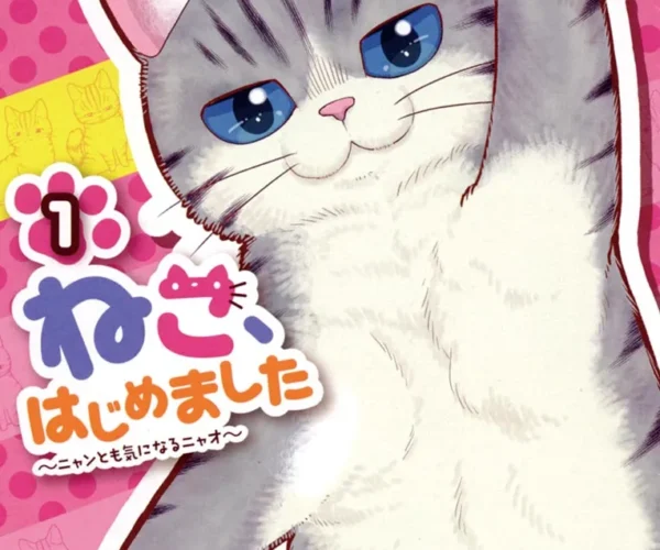 [Comic Set] ねこはじめました ชีวิตใหม่ของฉันในฐานะแมว เซ็ตเล่ม1-12 (ไม่จบ)
