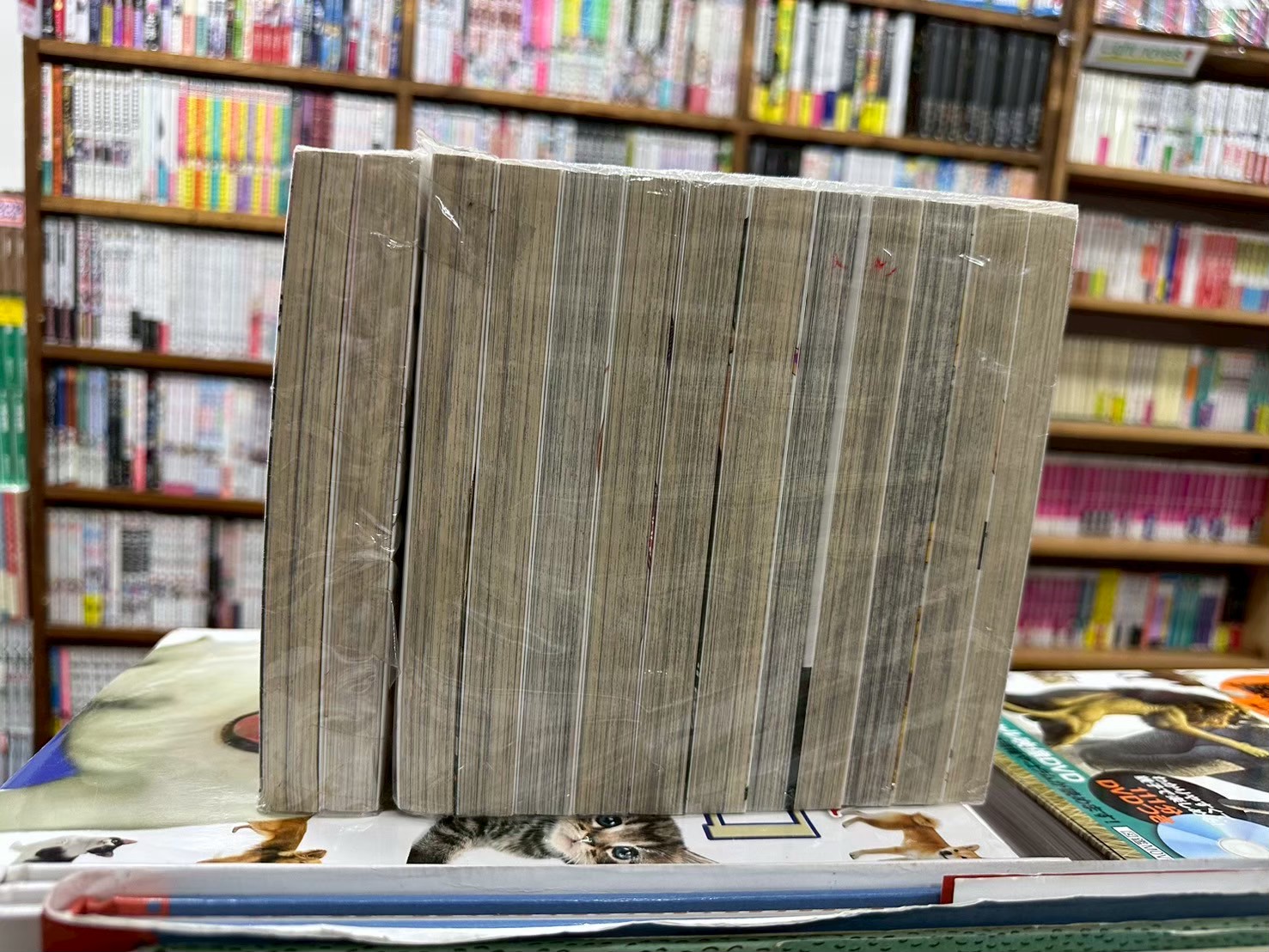 LINE_ALBUM_Comic 3FL_251024_1