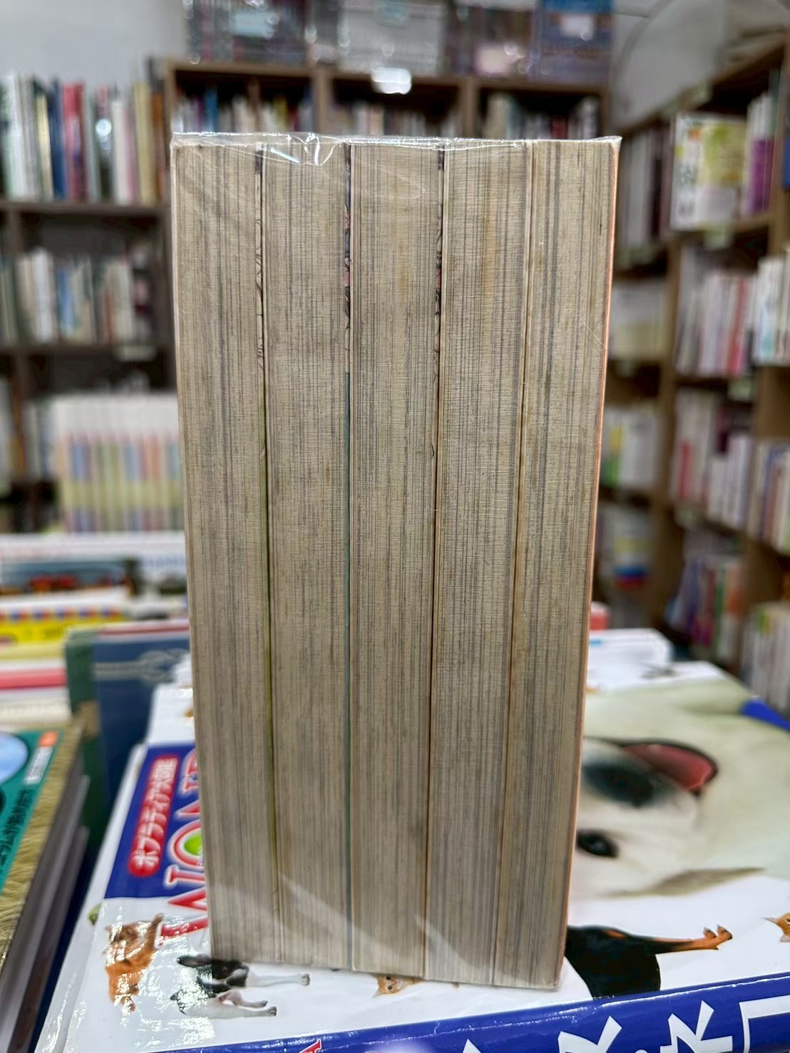 LINE_ALBUM_Comic 3fl_251029_6